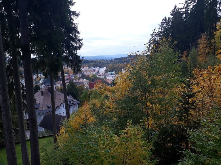 20251012_160433.jpg