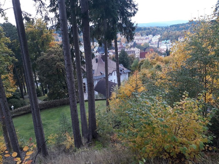 20251012_160443.jpg