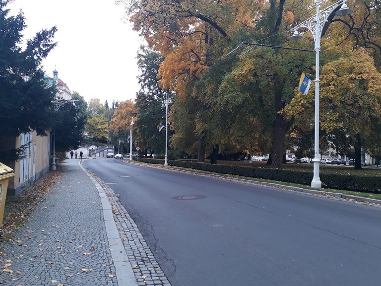 20251012_164546.jpg