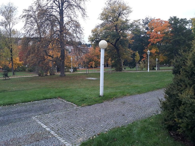 20251012_164114.jpg