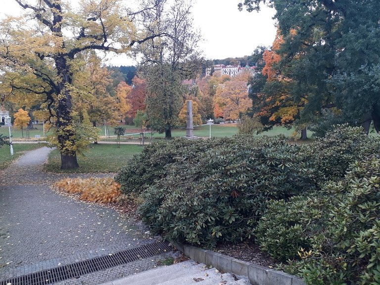 20251012_163942.jpg