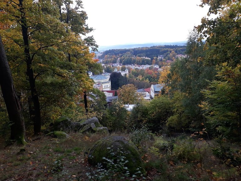 20251012_160814.jpg