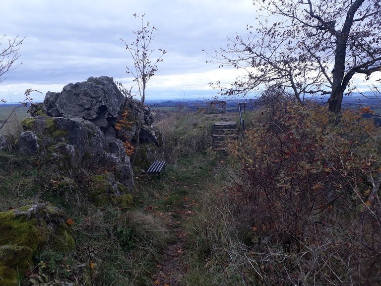 20251017_155725.jpg