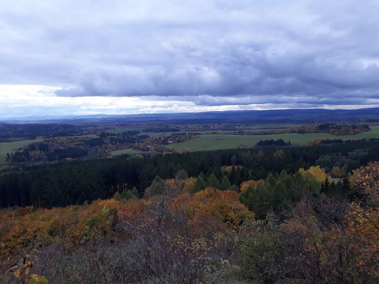 20251017_155825.jpg
