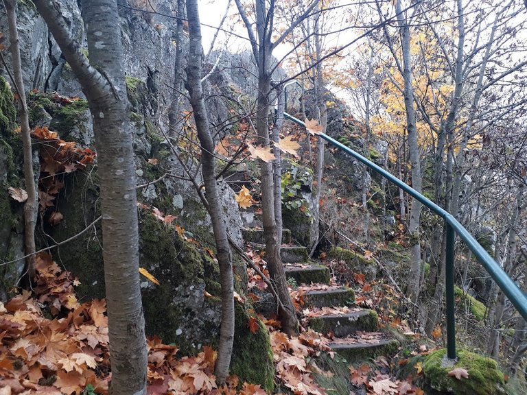 20251017_155612.jpg