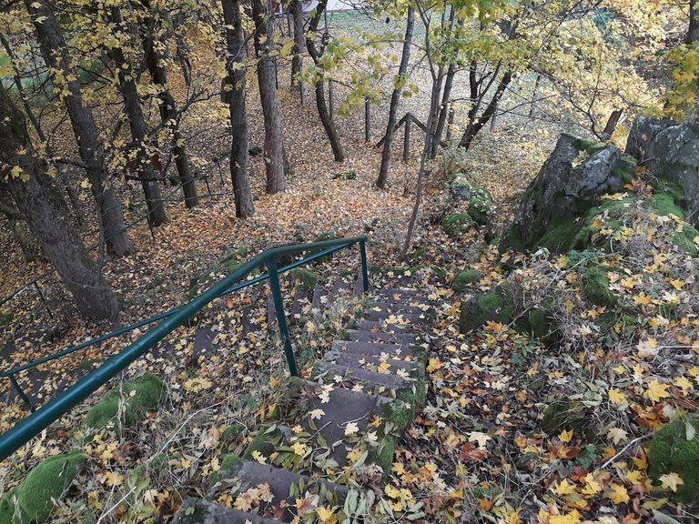20251017_160130.jpg