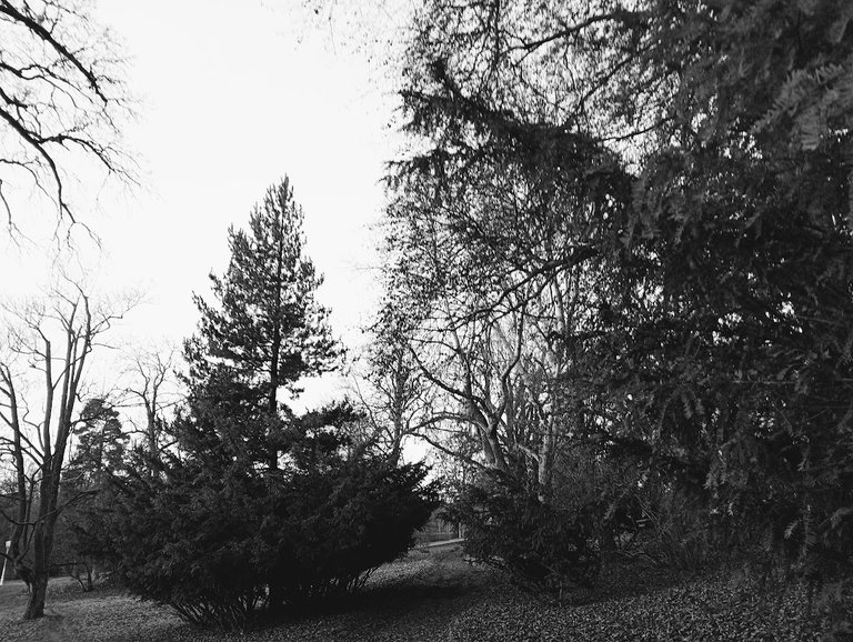 My Actifit Report Card: December 13 2025