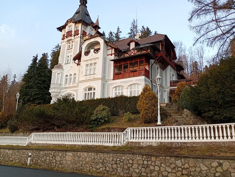 My Actifit Report Card: December 23 2025