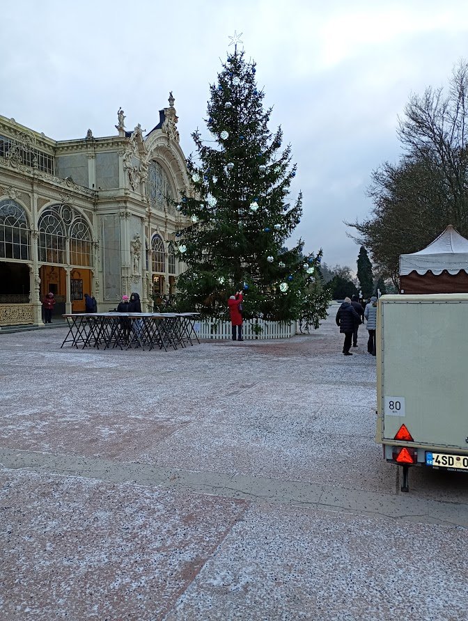 My Actifit Report Card: December 24 2025