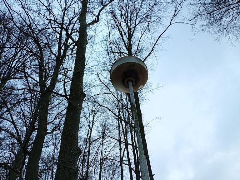 My Actifit Report Card: December 26 2025