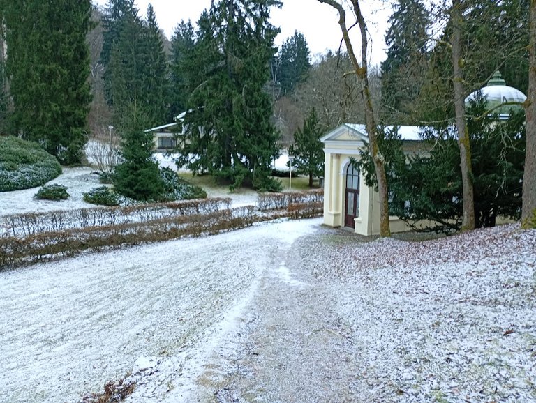 My Actifit Report Card: December 26 2025