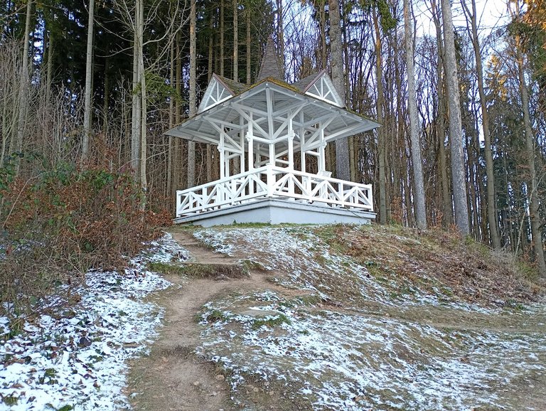 My Actifit Report Card: January 3 2026