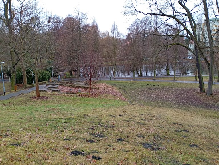 My Actifit Report Card: January 3 2026