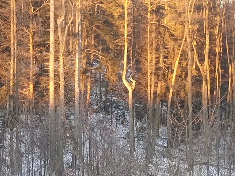 IMG_20260104_082110.jpg