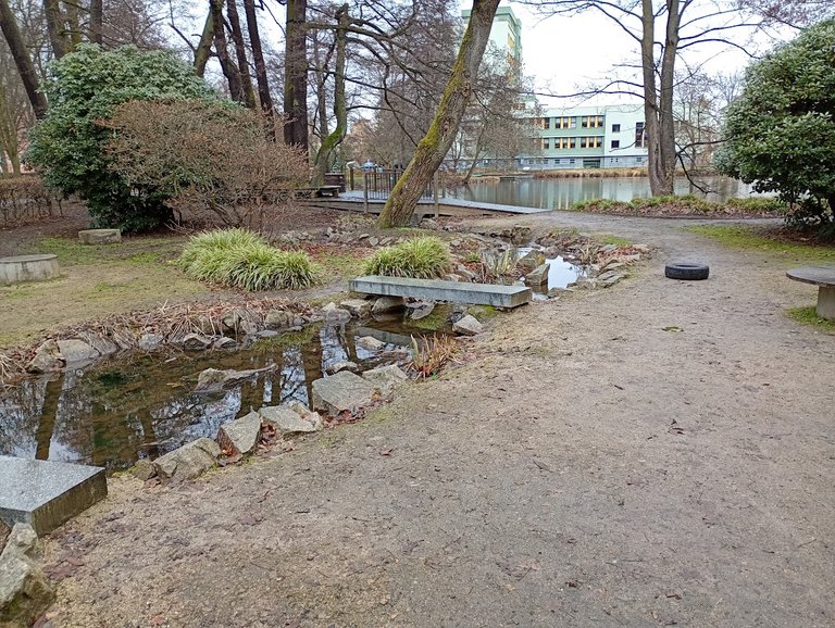 My Actifit Report Card: January 14 2026