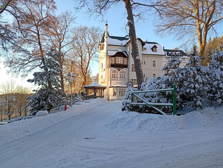 My Actifit Report Card: January 17 2026