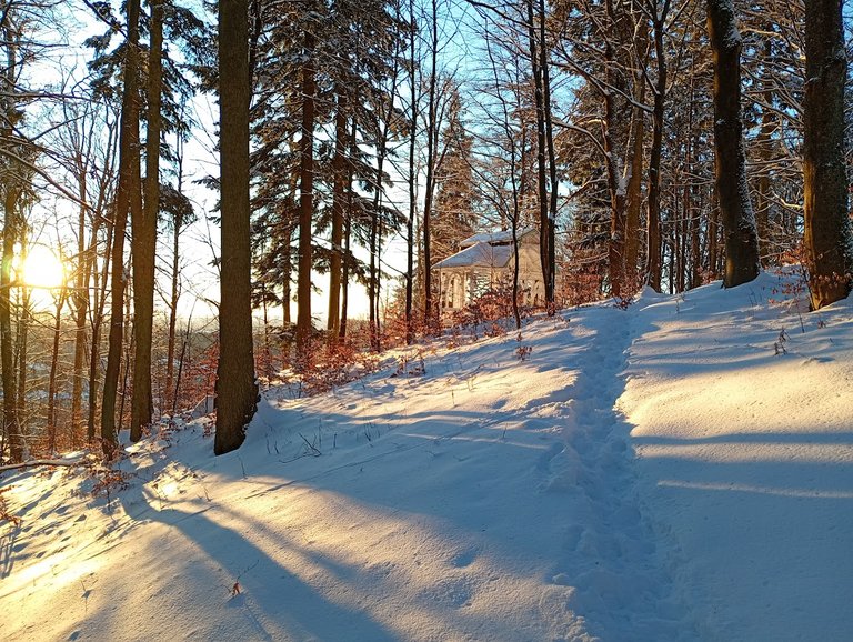 My Actifit Report Card: January 23 2026