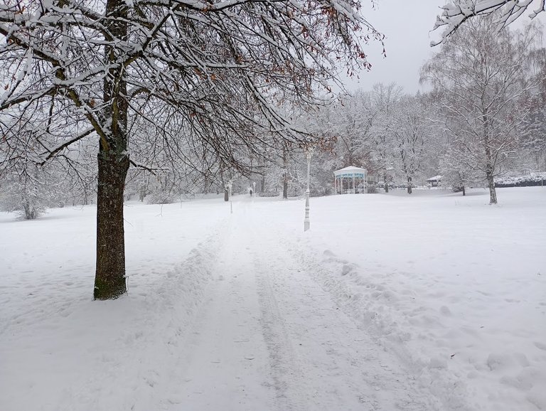 My Actifit Report Card: January 26 2026