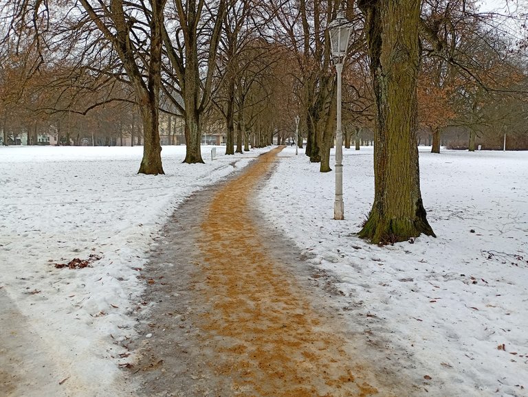 My Actifit Report Card: January 30 2026