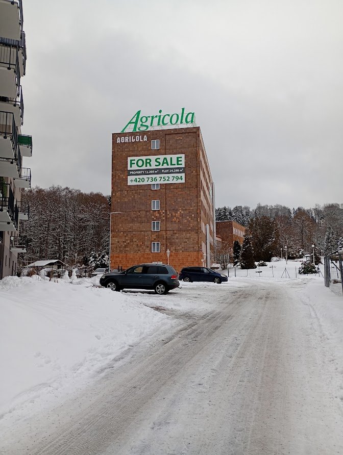 My Actifit Report Card: January 31 2026