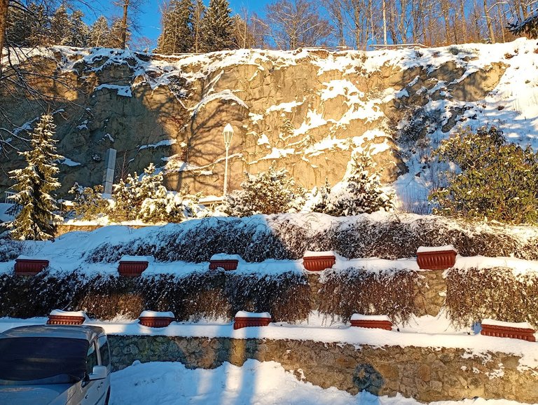 My Actifit Report Card: February 12 2026