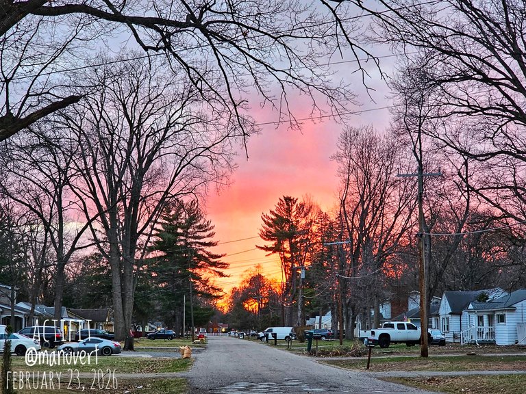 My Actifit Report Card: March 23 2026