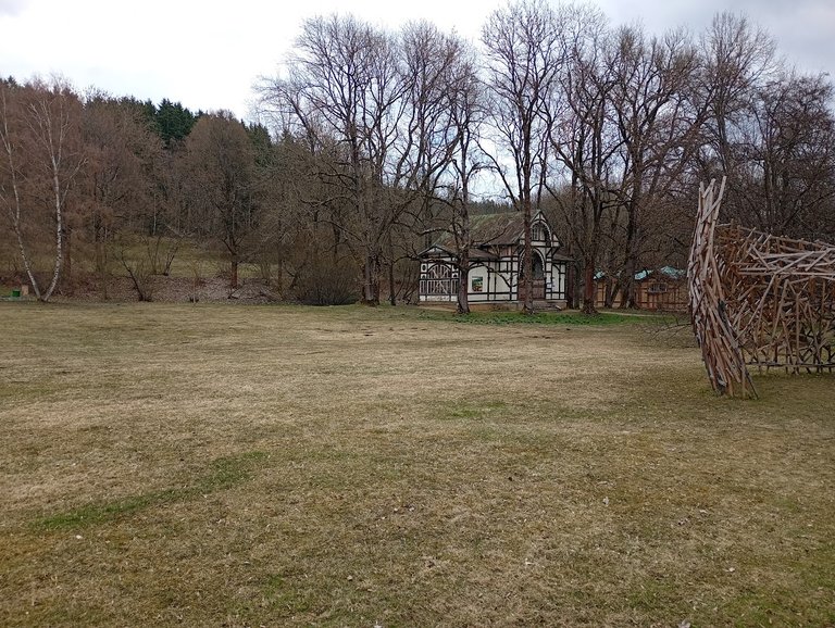 My Actifit Report Card: April 3 2026