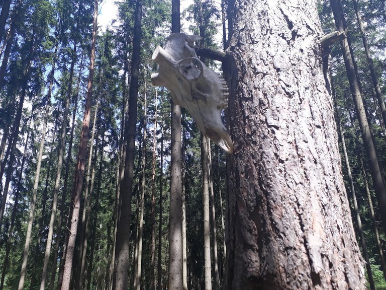 My Actifit Report Card: April 4 2026