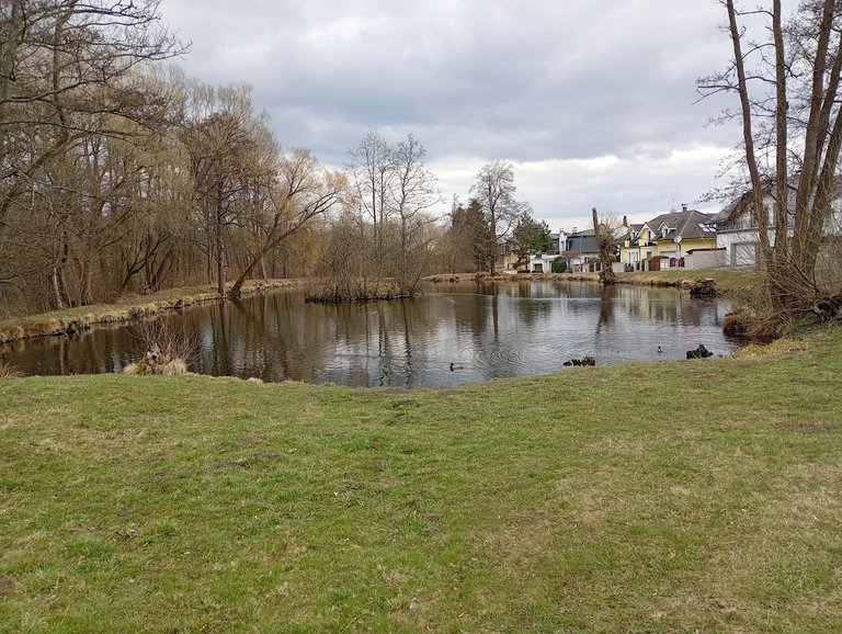 My Actifit Report Card: April 4 2026