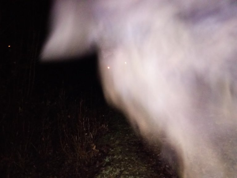 My Actifit Report Card: April 5 2026