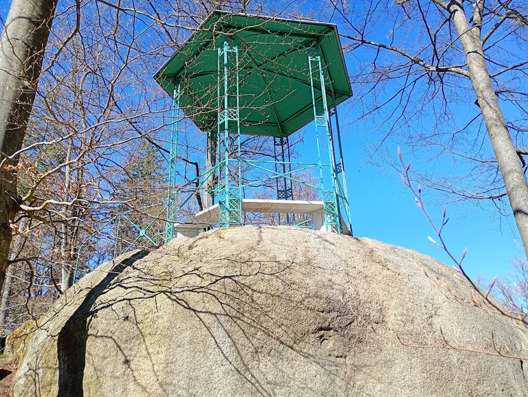 My Actifit Report Card: April 7 2026