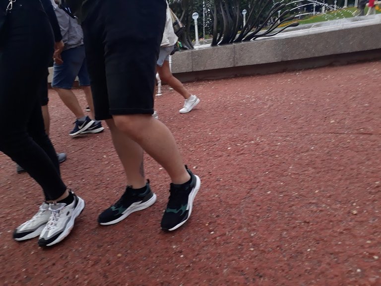 My Actifit Report Card: April 7 2026