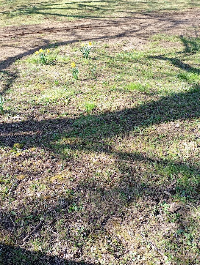 My Actifit Report Card: April 8 2026