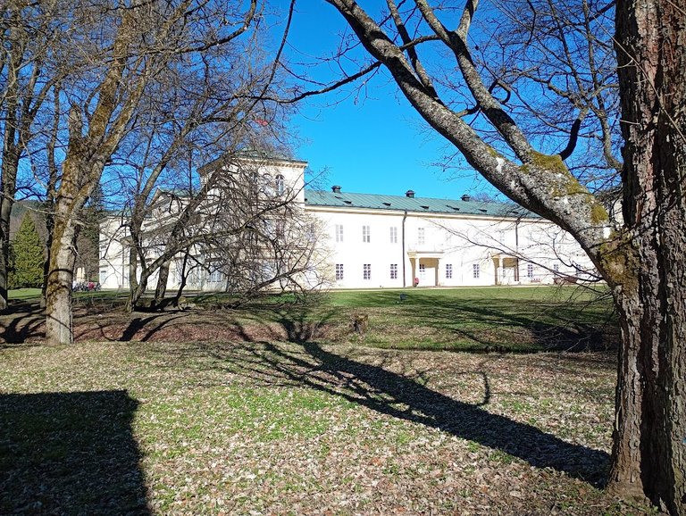 My Actifit Report Card: April 9 2026