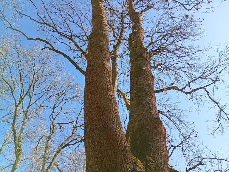 My Actifit Report Card: April 9 2026