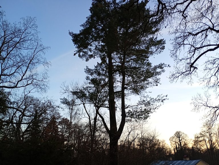 My Actifit Report Card: April 10 2026