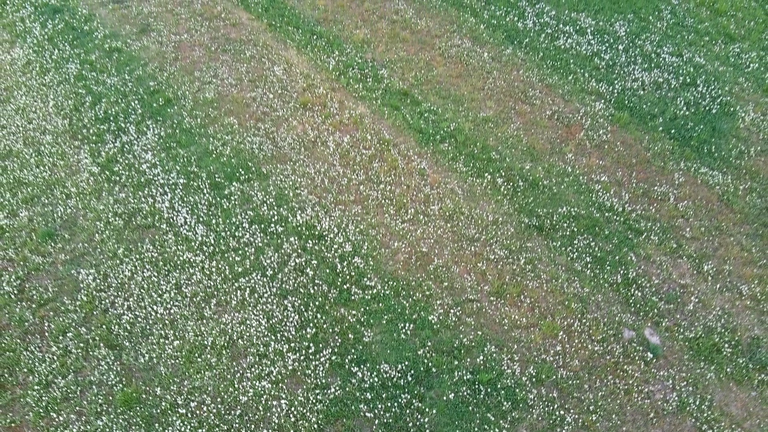 vlcsnap2026052521h31m47s321.png