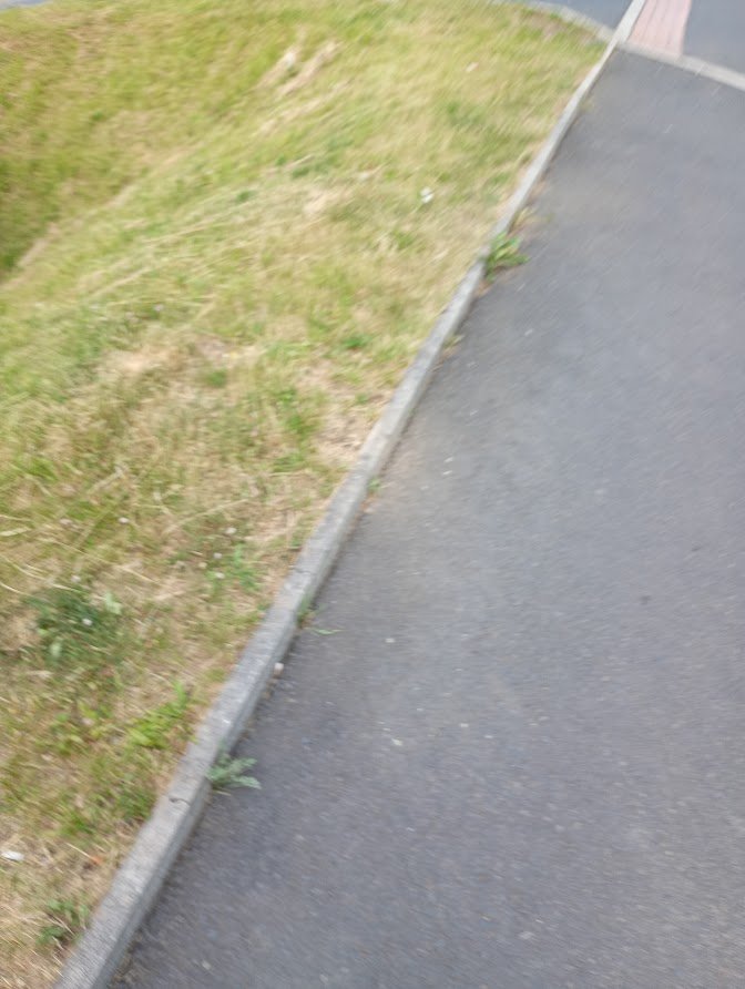 My Actifit Report Card: June 25 2026