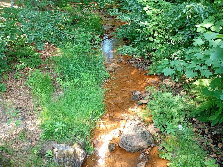 IMG_20260627_155036227_MFNR.jpg