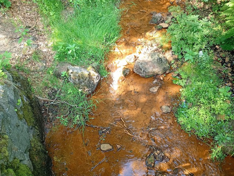 IMG_20260627_155041188_MFNR.jpg