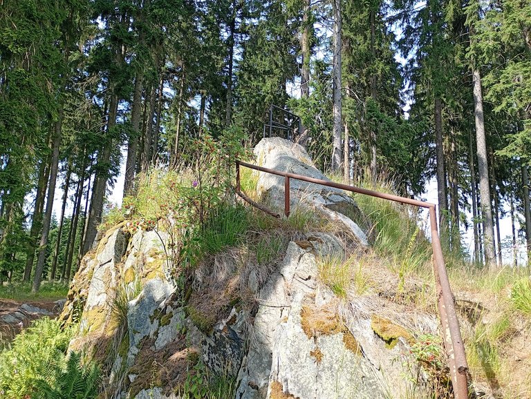 IMG_20260705_155957841_MFNR.jpg