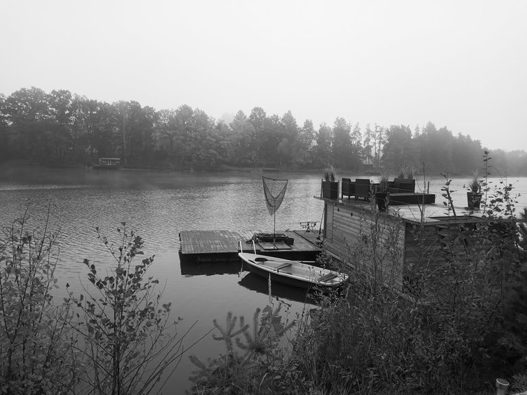 IMG_20261021_081135.jpg
