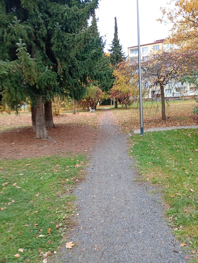 My Actifit Report Card: October 23 2026