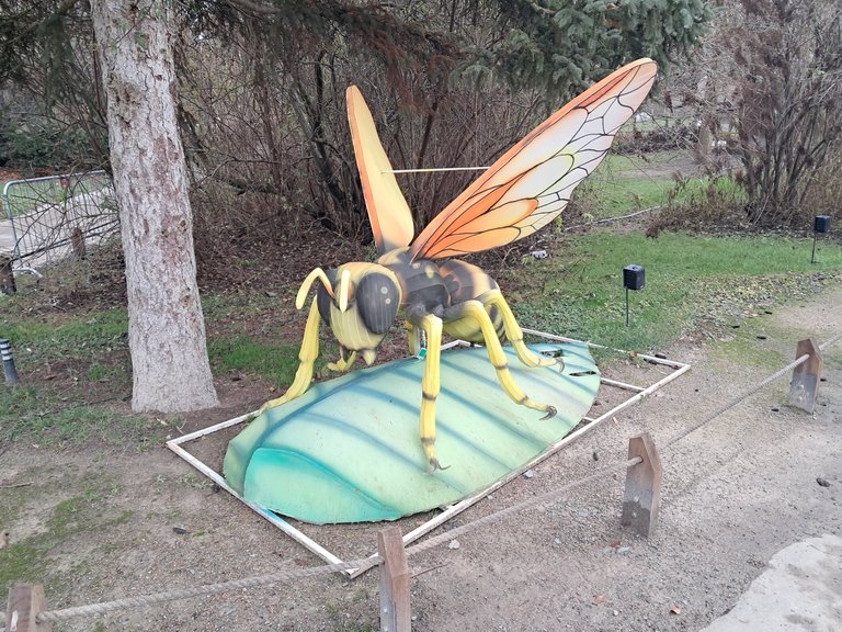 My Actifit Report Card: January 15 2026