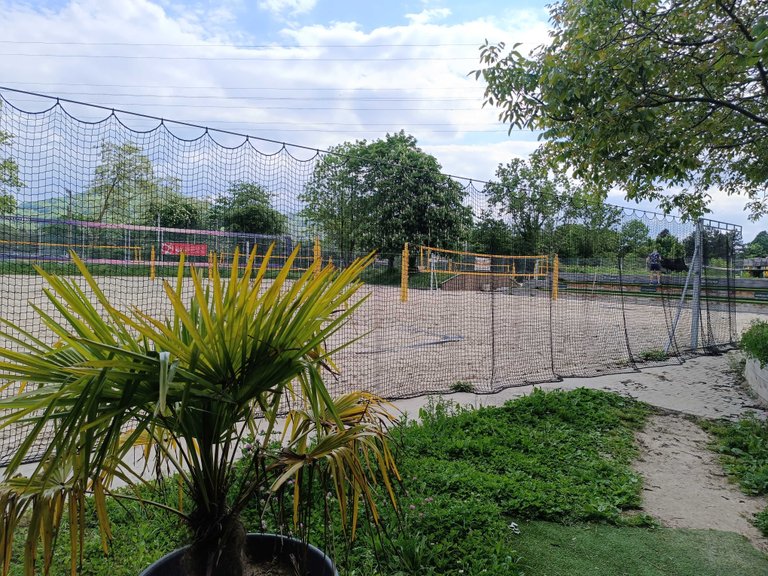 Beachvolleyball at the palm beachvolleyball club - My Actifit Report Card: May 9 2025