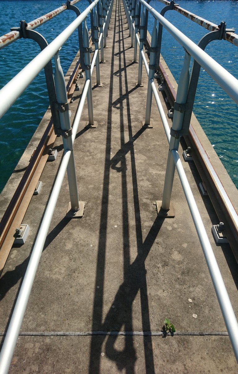 Between Two Sedimentation Tanks - Water Treatment Plant