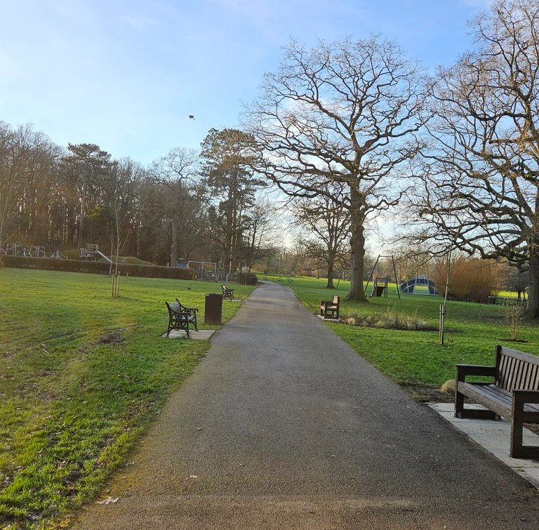 My Actifit Report Card: December 24 2025