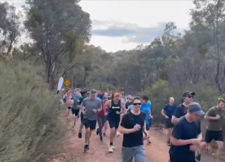 My Actifit Report Card: March 22 2026