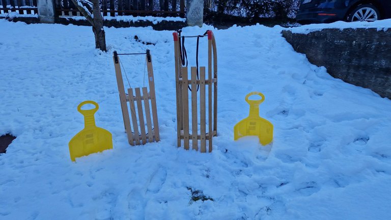 Joys In The Snow: January 20 2024