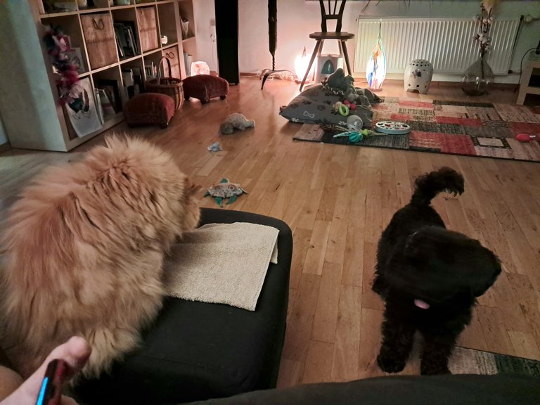 My Actifit Report Card: January 10 2026